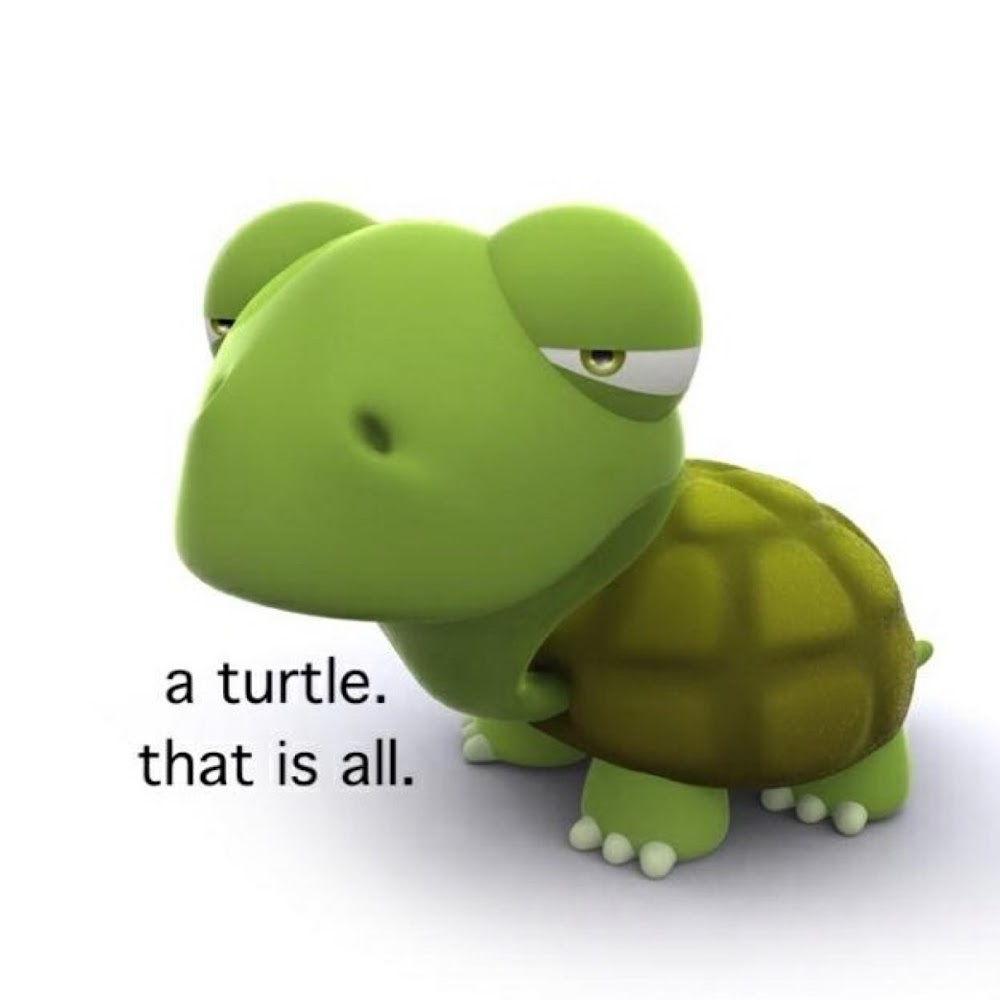 Meet your Posher, Carrie